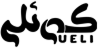 کوئلی شاپ